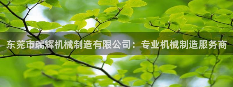 彩神vlll(中国)百度百科：东莞市瑞辉机械制造有限公司：专业机械制造服务商