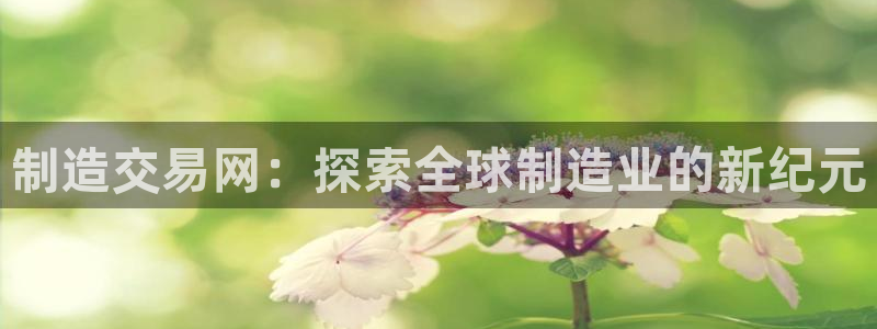 彩神争霸官网登录平台：制造交易网：探索全球制造业的新纪元