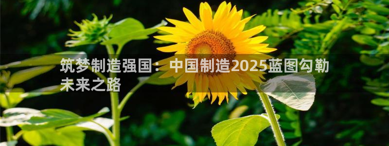 彩神viii是正规平台吗?：筑梦制造强国：中国制造2025蓝图勾勒
未来之路