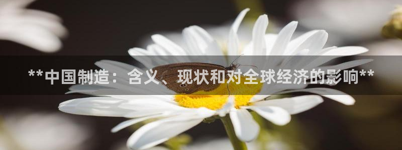 下载彩神通关注码