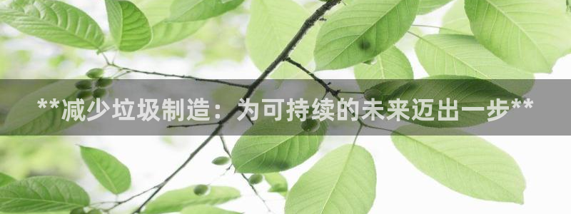 彩神ⅴll是什么样平台：**减少垃圾制造：为可持续的未来迈出