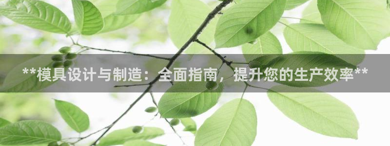 彩神v8是一个什么平台：**模具设计与制造：全面指南，提升您