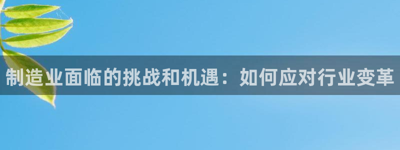 彩神广告有限公司：制造业面临的挑战和机遇：如何应对行业变革