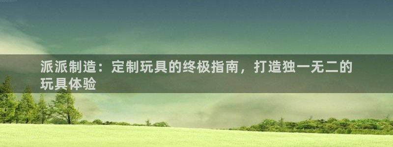 彩神赢了钱登录不上去：派派制造：定制玩具的终极指南，打造独一